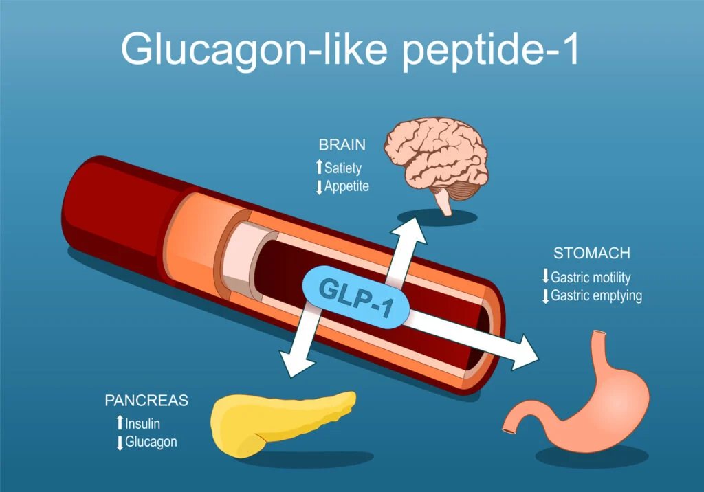 GLP-1 agonistai literatūroje: semaglutide, tirzepatide, cagrilintide ir retatrutide